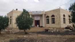 متحف كانط - صورة إضافية 2